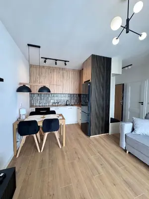 Kuchnia lub aneks kuchenny w obiekcie Forest Apart VI Urbino