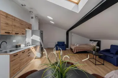 Kuchnia lub aneks kuchenny w obiekcie Close-Golden Apartments Waw - Old Town - Marcinkowskiego #5