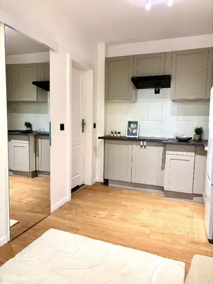 Kuchnia lub aneks kuchenny w obiekcie Studio obok metra! Apartamenty LoftWola
