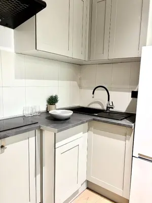 Kuchnia lub aneks kuchenny w obiekcie Studio obok metra! Apartamenty LoftWola