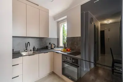 Kuchnia lub aneks kuchenny w obiekcie Modern Apartment in the city center
