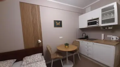 Kuchnia lub aneks kuchenny w obiekcie Apartament Motyl