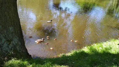 Widok na rzekę nieopodal tego apartamentu