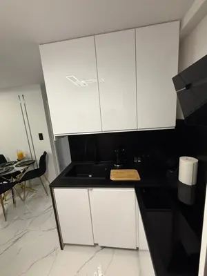 Kuchnia lub aneks kuchenny w obiekcie Exclusive Apartment Sadyba