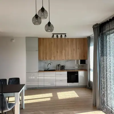 Modern Apartament near Kozminsky