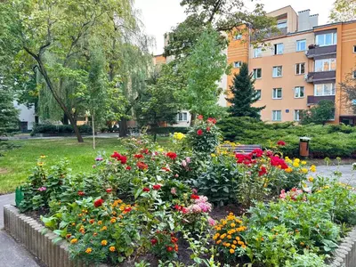 Ogród w obiekcie Best Life Apartment