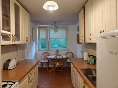 Kuchnia lub aneks kuchenny w obiekcie City Center Hollidays ROOM'S