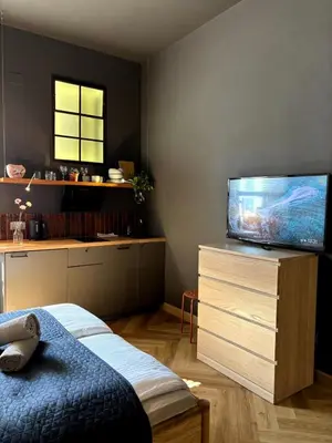 Telewizja i/lub zestaw kina domowego w obiekcie Apartamenty Loft Nowy Świat Centrum lok 3