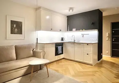 Kuchnia lub aneks kuchenny w obiekcie Studio SOLEC near Royal Łazienki Park