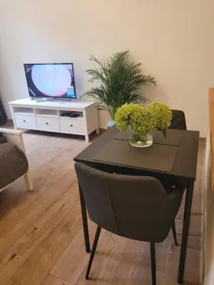 Telewizja i/lub zestaw kina domowego w obiekcie Studiofreta21