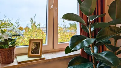 Ogród w obiekcie Bella Luna Luxury Suites - Warm & Modern Apt Near Old Town & Museums