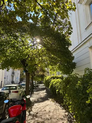 Okolica w pobliżu tego apartamentu