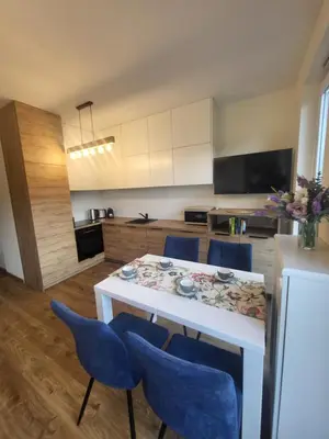 Kuchnia lub aneks kuchenny w obiekcie Apartament OFFI