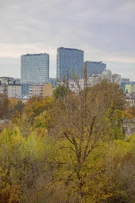 Widok na miasto Warszawa z tego apartamentu