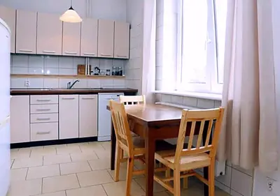 Kuchnia lub aneks kuchenny w obiekcie Roomy Apartment with View in the Center of Warsaw City