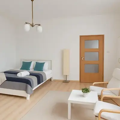 Roomy Apartment with View in the Center of Warsaw City