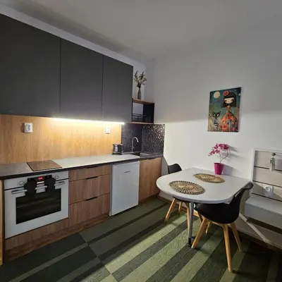 Kuchnia lub aneks kuchenny w obiekcie Apartament Plac Mirowski Centrum