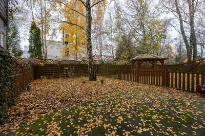 Ogród w obiekcie Olbrachta Garden Studio by BookingHost