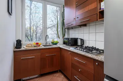 Kuchnia lub aneks kuchenny w obiekcie Lumina 3 room apart near Łazienki Królewskie