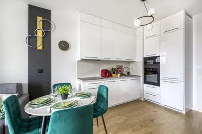 Kuchnia lub aneks kuchenny w obiekcie M&R Apartament Airport&Business LUX In Place, free parking, AC