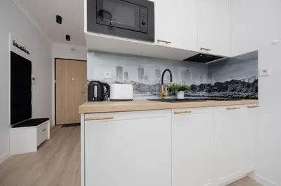 Kuchnia lub aneks kuchenny w obiekcie Studio in Warsaw with Air Condition & Balcony By Noclegi Renters
