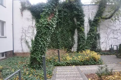 Ogród w obiekcie T&M Apartments FVAT Invoice