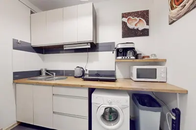 Kuchnia lub aneks kuchenny w obiekcie Greenlight Apartment City Center Jana Pawla II