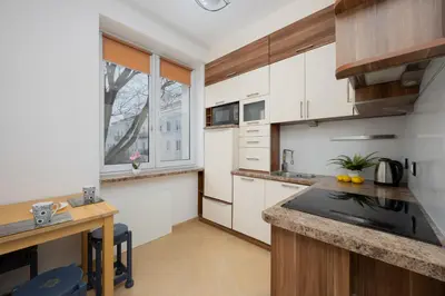 Kuchnia lub aneks kuchenny w obiekcie Vibrant Mokotów Business Centre Apartment Warsaw by Noclegi Renters