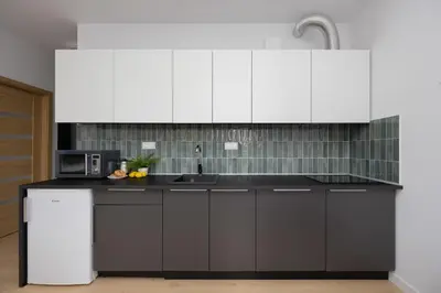 Kuchnia lub aneks kuchenny w obiekcie Elegant Apartment Szafrańców by Noclegi Renters