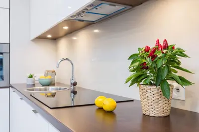 Kuchnia lub aneks kuchenny w obiekcie Comfy Stay Żelazna Apartment with two bedrooms and balcony