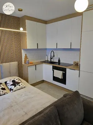 Kuchnia lub aneks kuchenny w obiekcie Modern Studio Szałasa