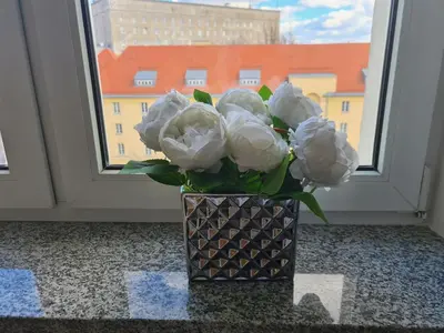 Plan piętra w obiekcie Studio Plac Narutowicza