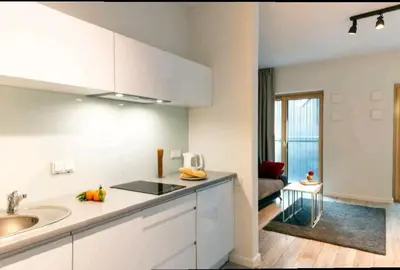 Kuchnia lub aneks kuchenny w obiekcie Apartamenty Studio Mennica Residence