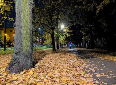 Plan piętra w obiekcie Green Bielany Studio