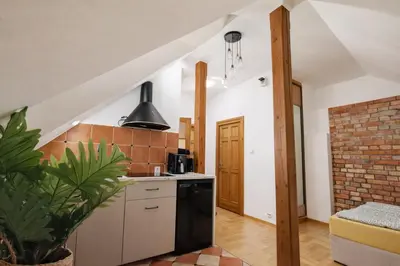 Kuchnia lub aneks kuchenny w obiekcie Castle apartment Piwna
