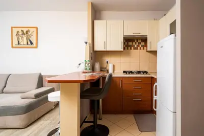 Kuchnia lub aneks kuchenny w obiekcie Solec Powiśle Harmony Apartment by BookingHost