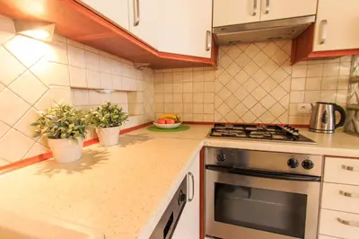Kuchnia lub aneks kuchenny w obiekcie Rental Apartments Szeroki Dunaj