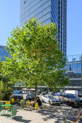 Plan piętra w obiekcie Apartament Centrum Twarda