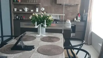 Kuchnia lub aneks kuchenny w obiekcie Okolnik Apartment
