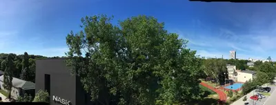 Okolica w pobliżu tego apartamentu