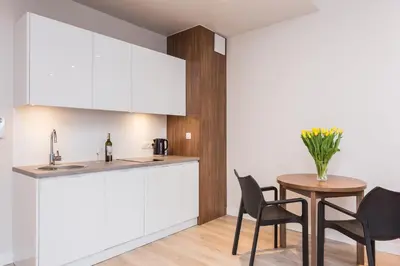 Kuchnia lub aneks kuchenny w obiekcie Platinum Residence Mokotów