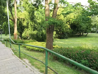 Ogród w obiekcie Apartament blisko Centrum