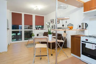 Kuchnia lub aneks kuchenny w obiekcie ShortStayPoland Graniczna (B6)