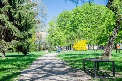 Ogród w obiekcie Apartament Expo Brylowska