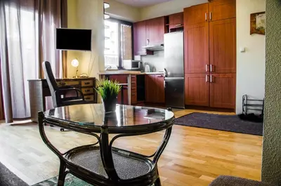 Kuchnia lub aneks kuchenny w obiekcie Apartament Parkowy Chodkiewicza