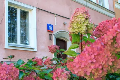 Ogród w obiekcie Rental Apartments Bednarska