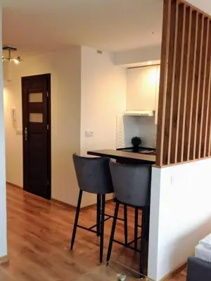 Kuchnia lub aneks kuchenny w obiekcie Alma Apartments Smolna