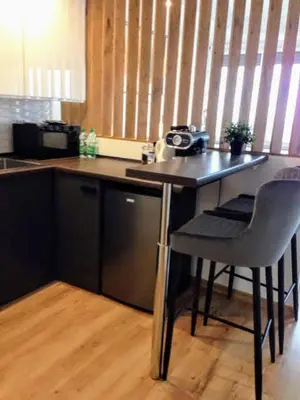 Kuchnia lub aneks kuchenny w obiekcie Alma Apartments Smolna