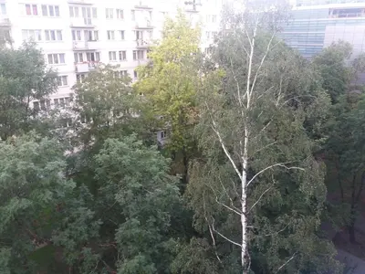 Przyroda w pobliżu tego apartamentu