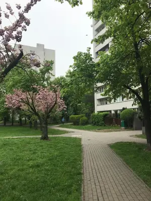 Ogród w obiekcie Apartament MetroMarymont